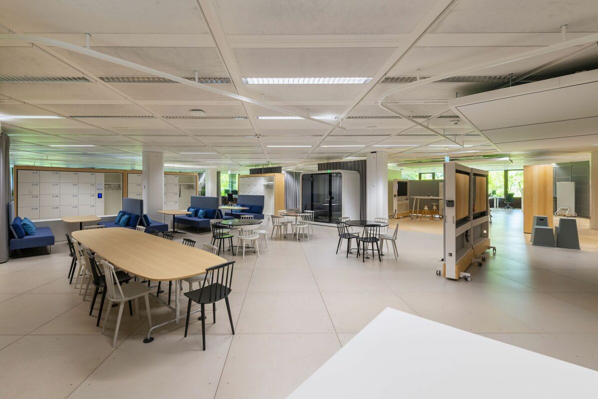 6194m² bureau