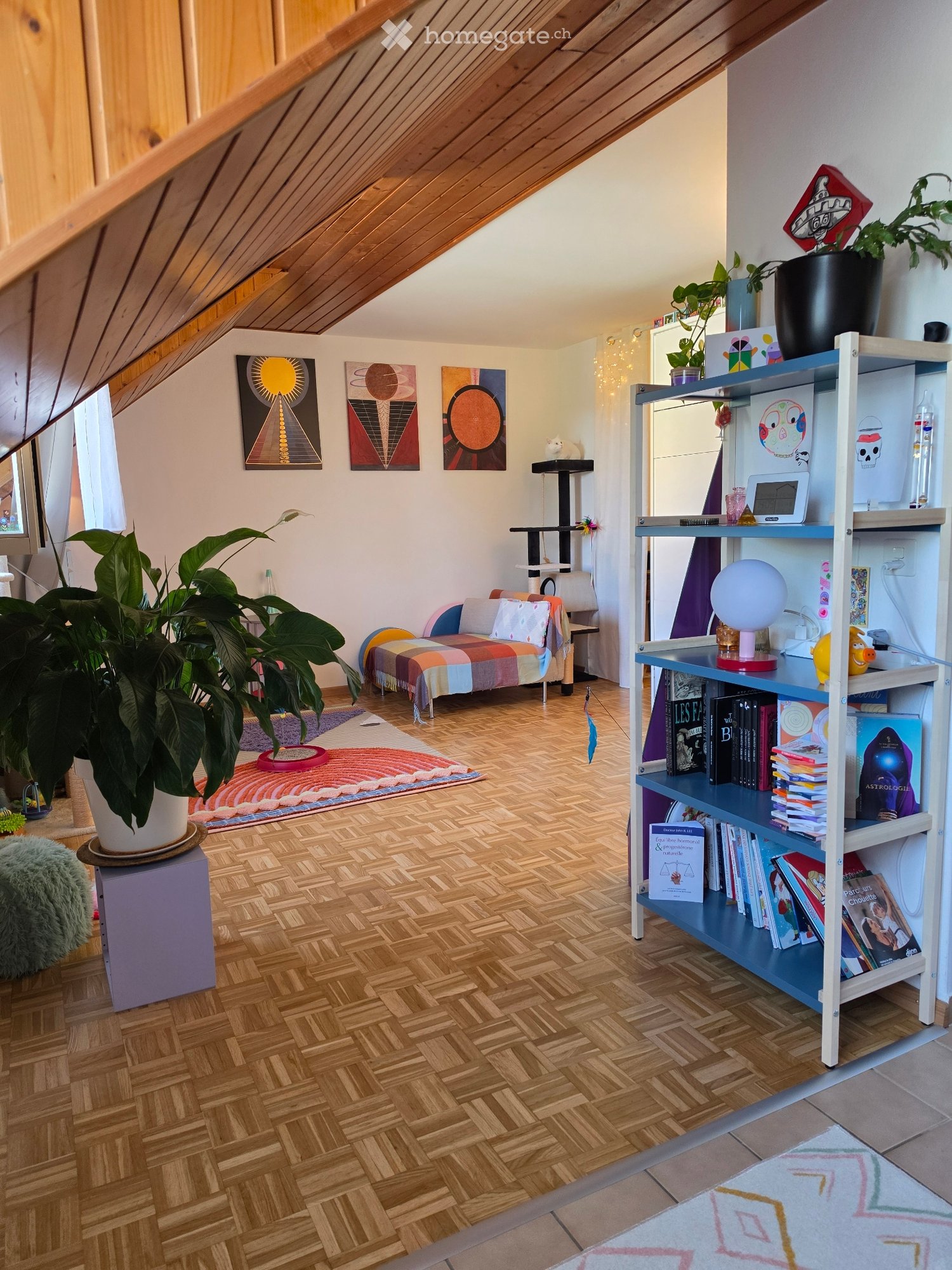 1 room apartment, photo 5 sur 5