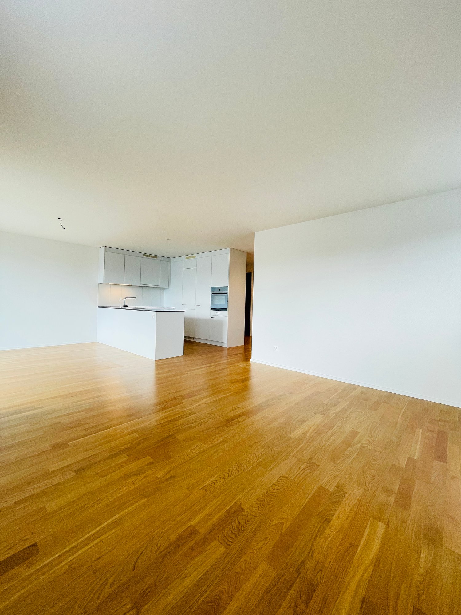 Appartement de 4 ½ pièces, photo 5 sur 10
