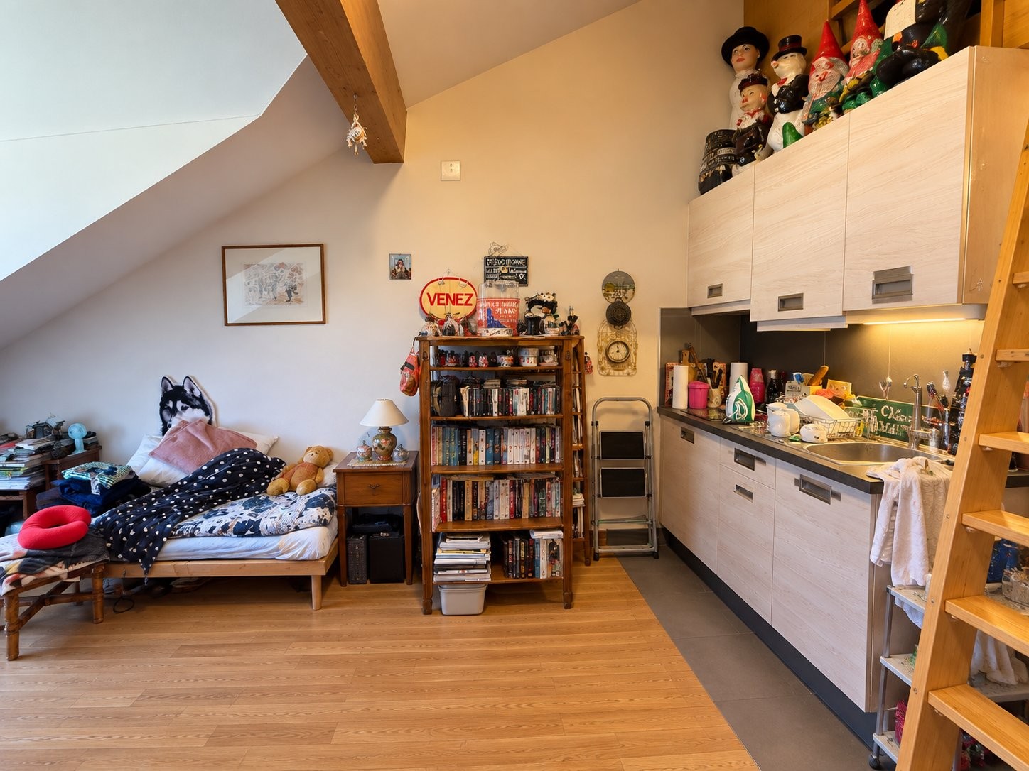 1 ½ rooms apartment, photo 1 sur 6
