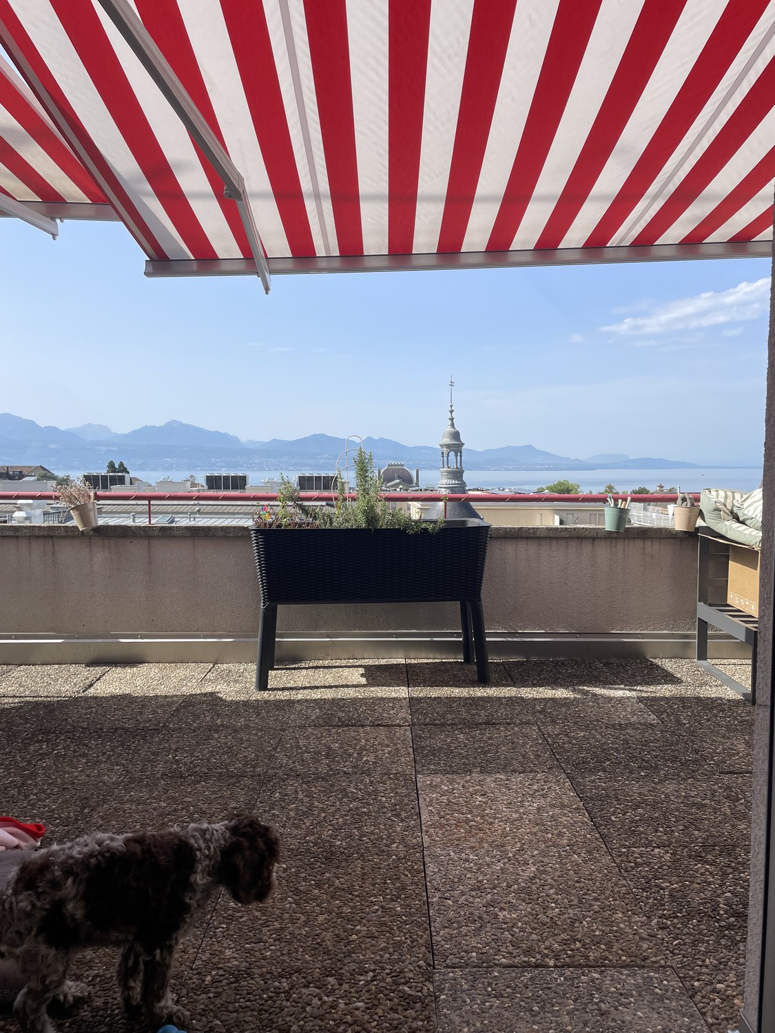 Appartement de 3 ½ pièces, photo 4 sur 6