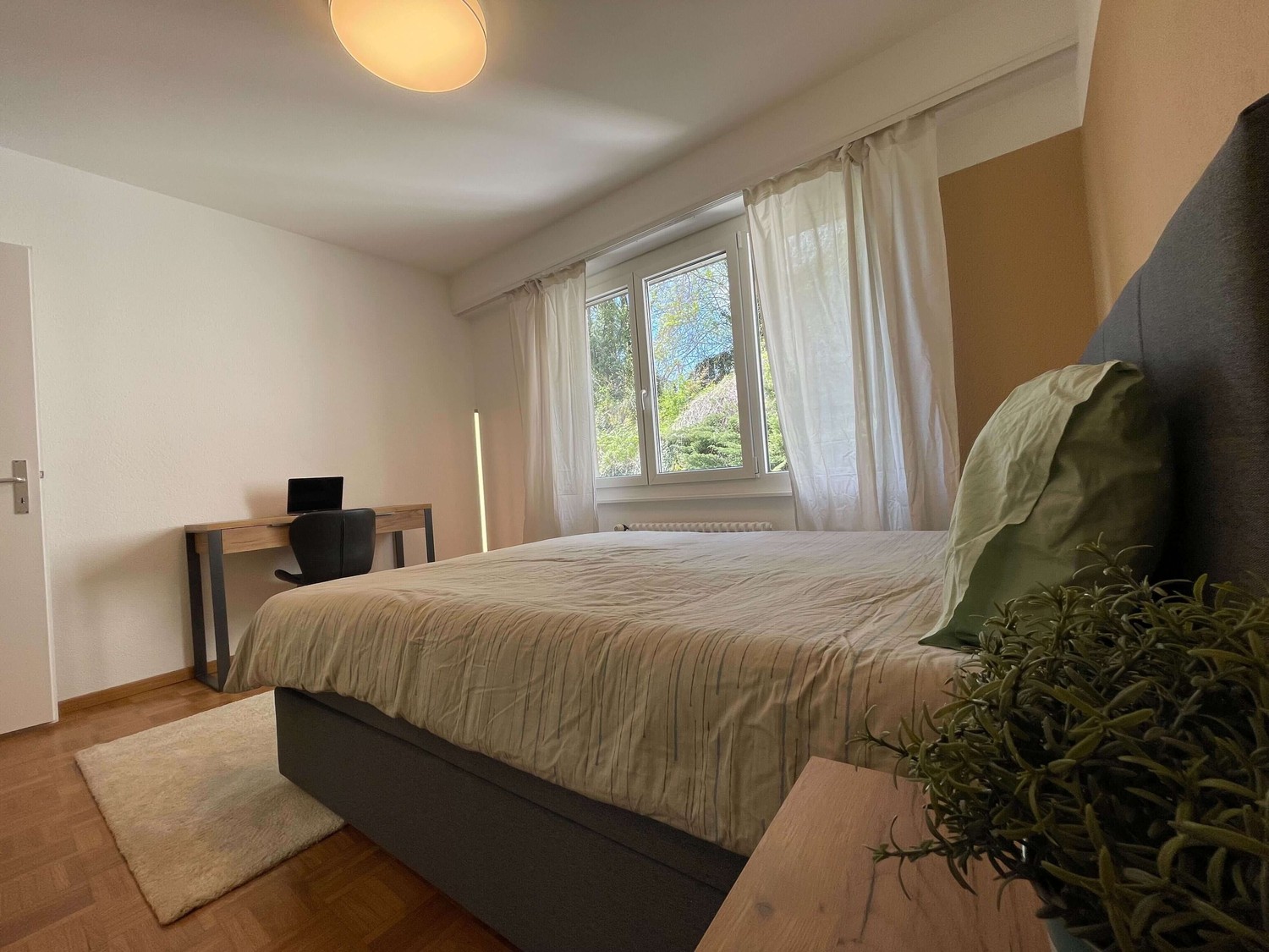 Chambre en colocation