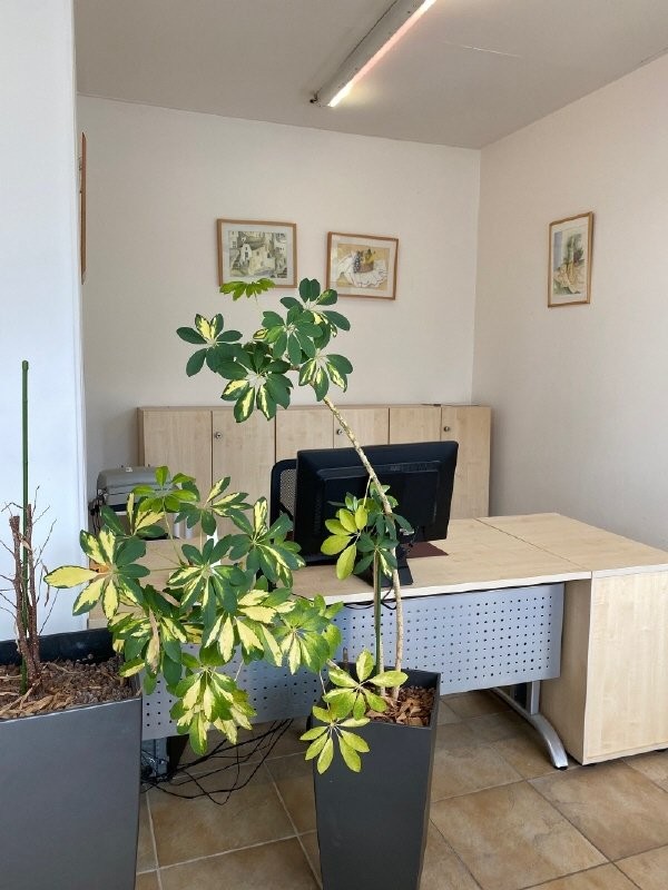 Office, photo 6 sur 8