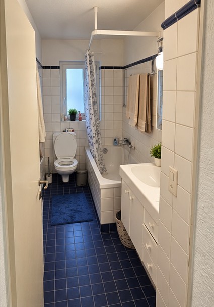 Appartement de 3 ½ pièces