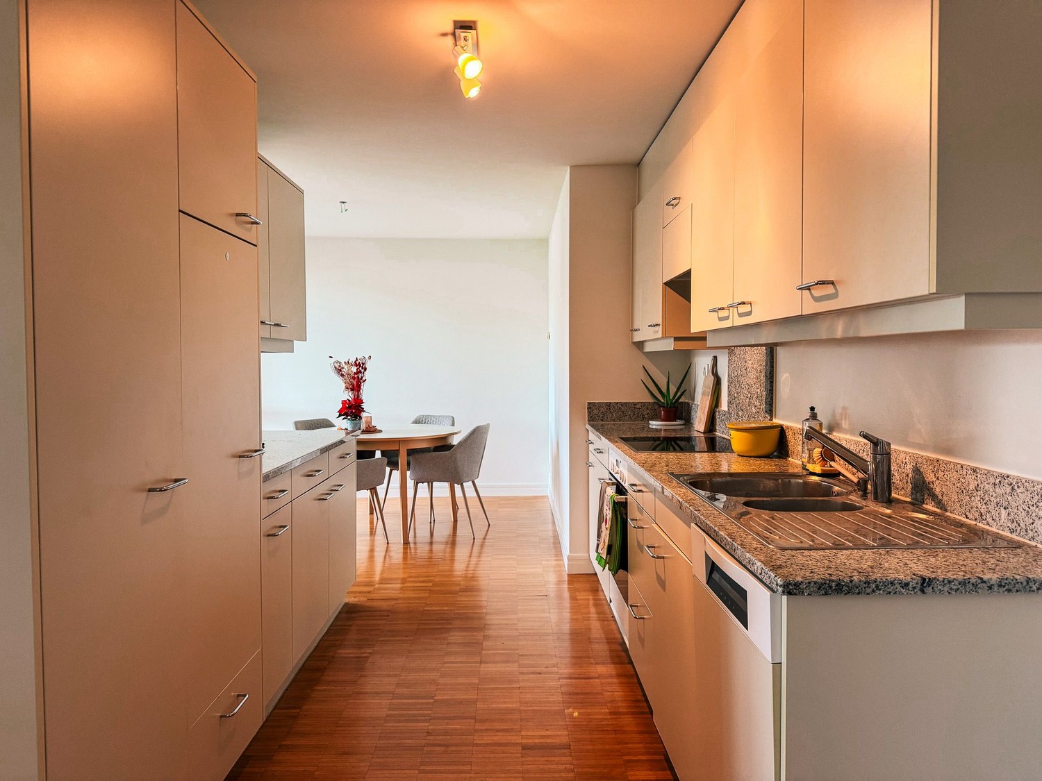 Appartement de 2 ½ pièces