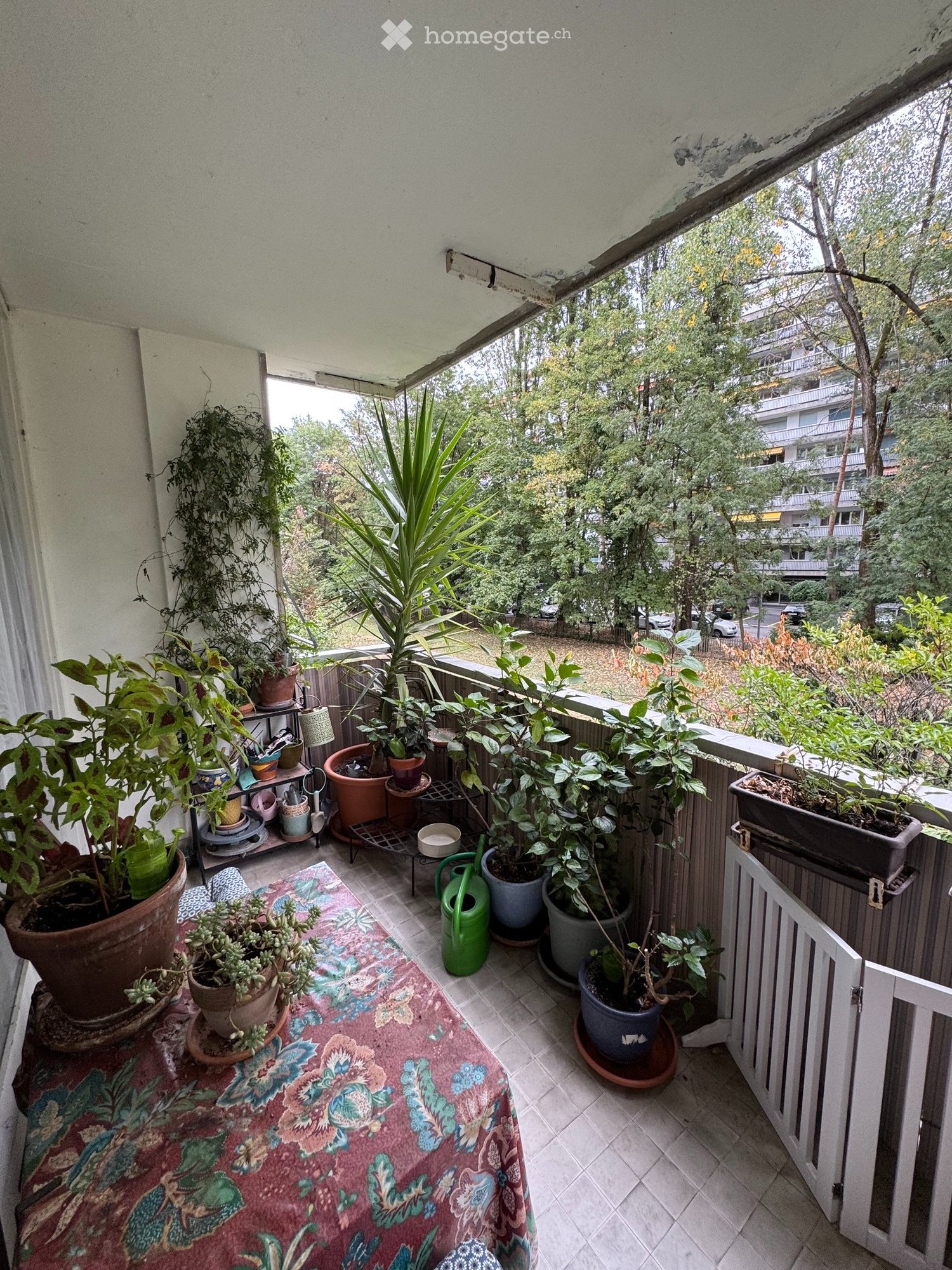 3 rooms apartment, photo 2 sur 5