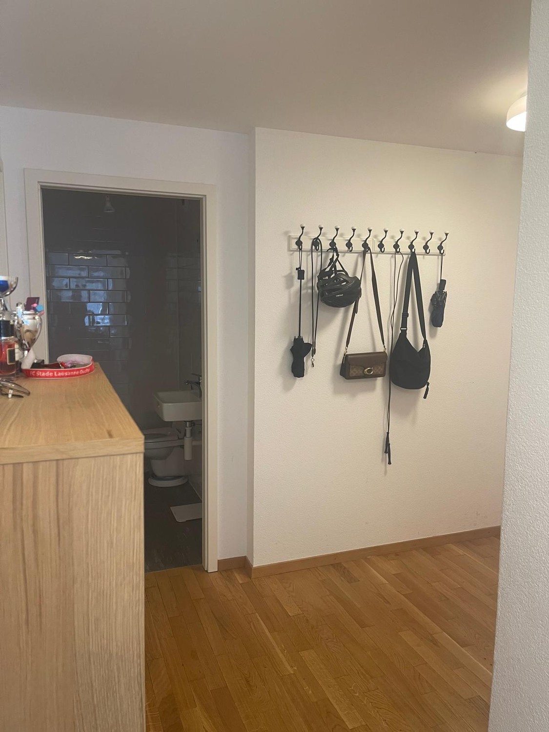 2 ½ rooms apartment, photo 4 sur 9