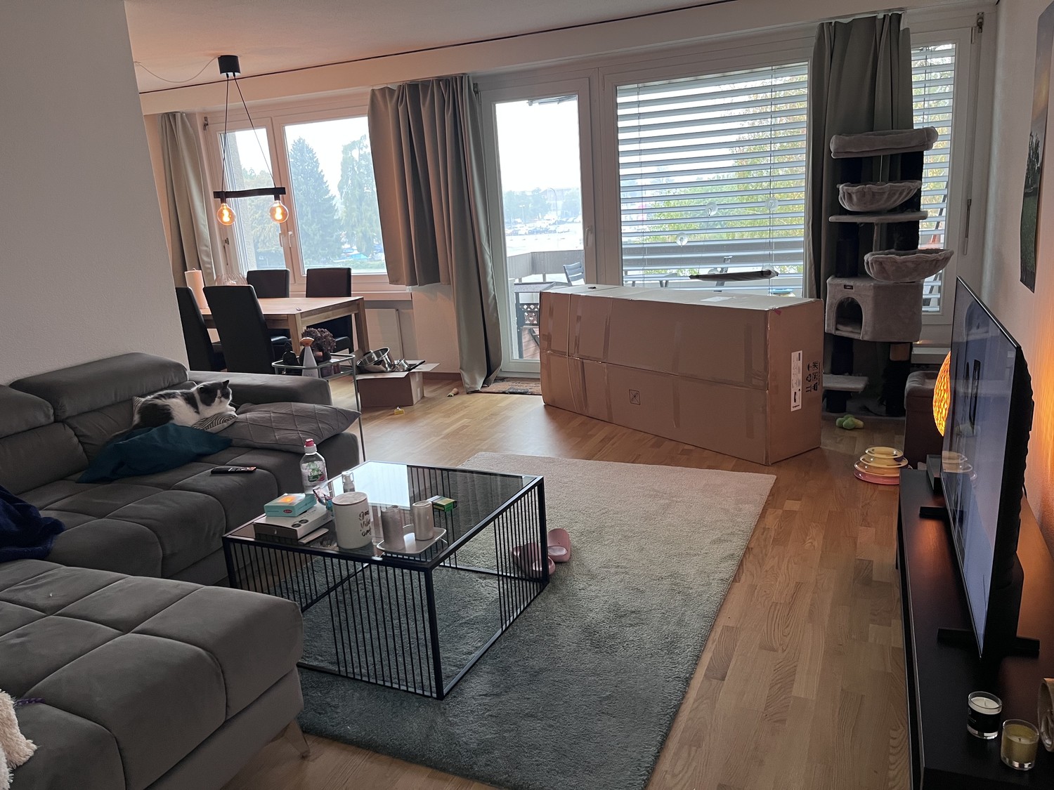 Appartement de 2 ½ pièces, photo 6 sur 10