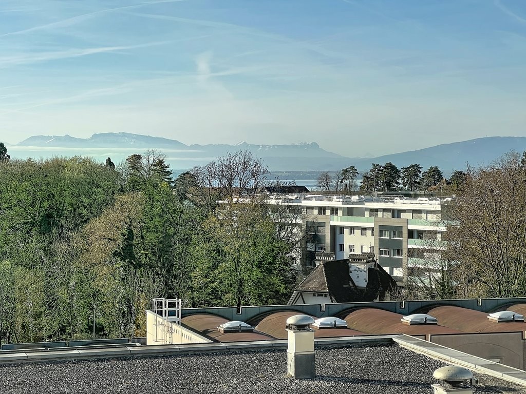 313m² office