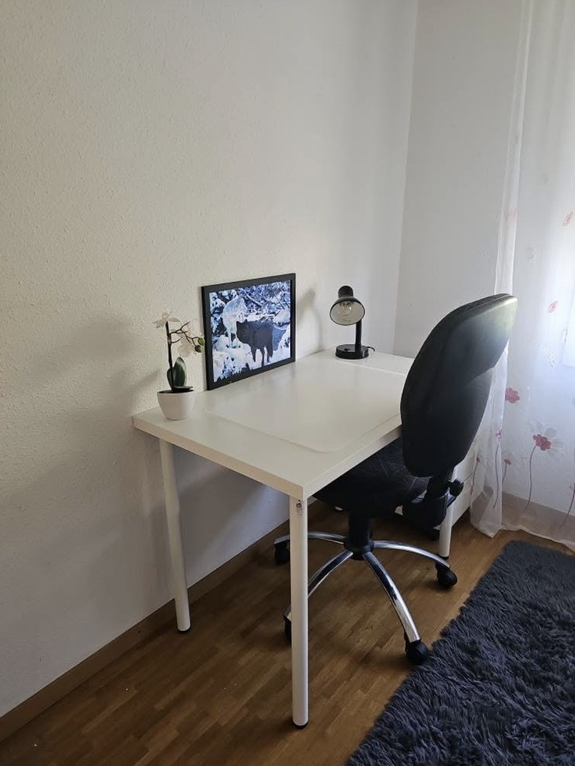 Room in a shared flat, photo 2 sur 5