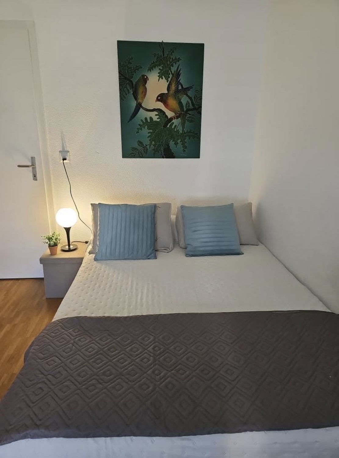 Room in a shared flat, photo 1 sur 5