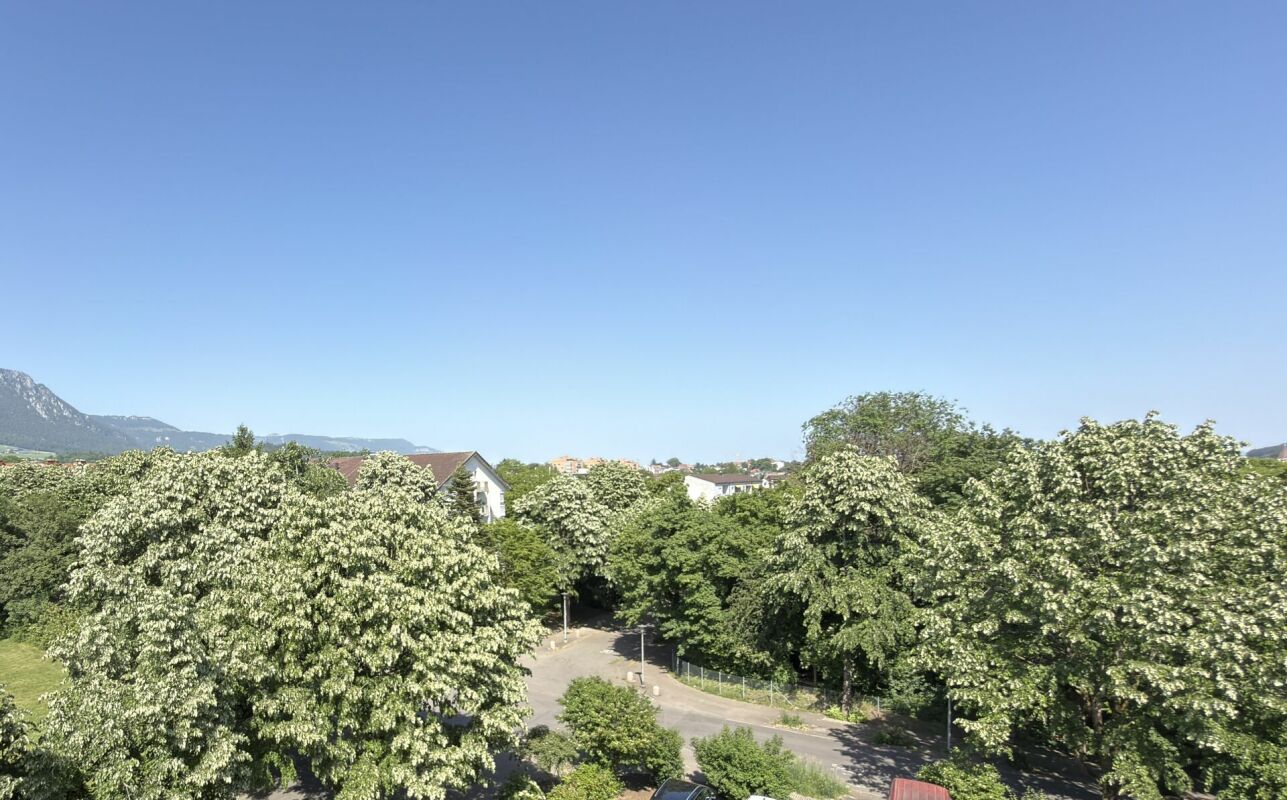 Appartement de 2 ½ pièces