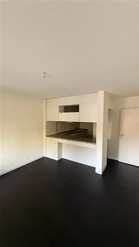 Duplex de 3 ½ pièces, photo 3 sur 9
