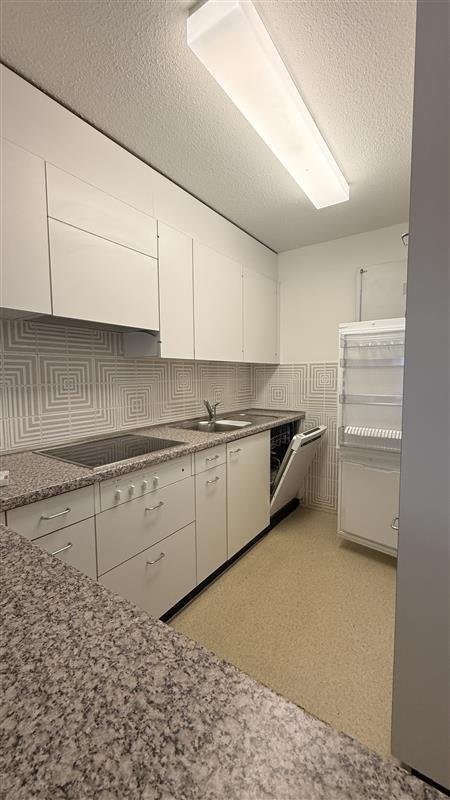 Duplex de 3 ½ pièces, photo 2 sur 9
