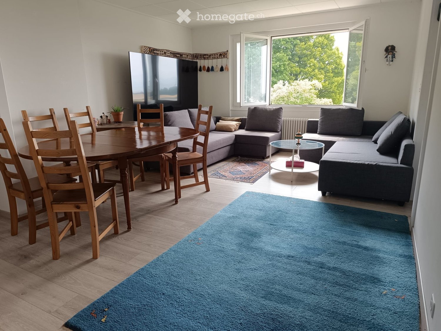 3 ½ Zimmer Wohnung
