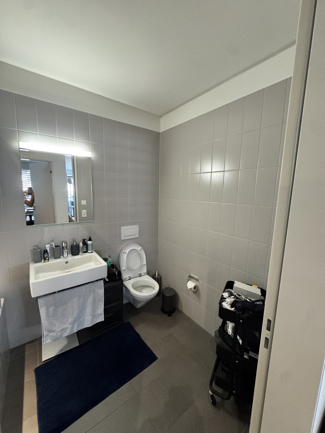 2 ½ rooms apartment