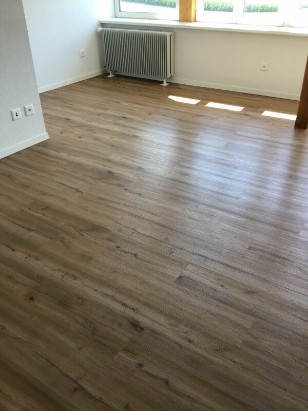 Appartement de 2 ½ pièces, photo 8 sur 9
