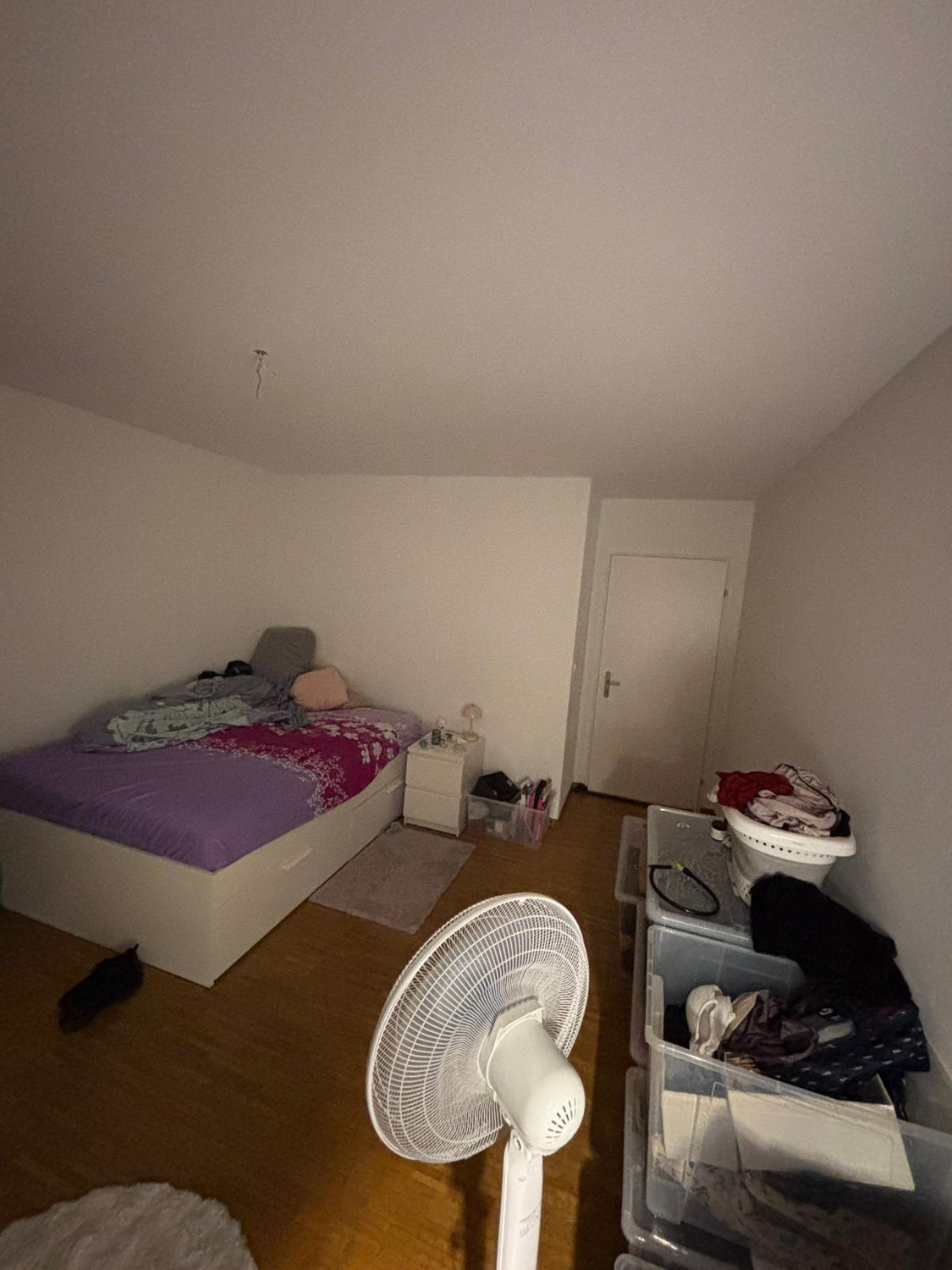 Chambre dans une colocation, photo 1 sur 4
