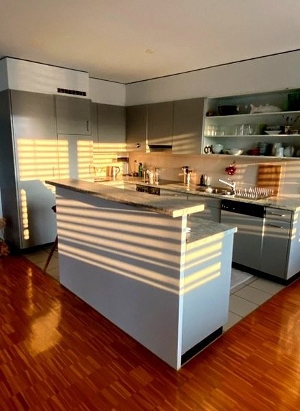 Appartement meublé de 3 ½ pièces