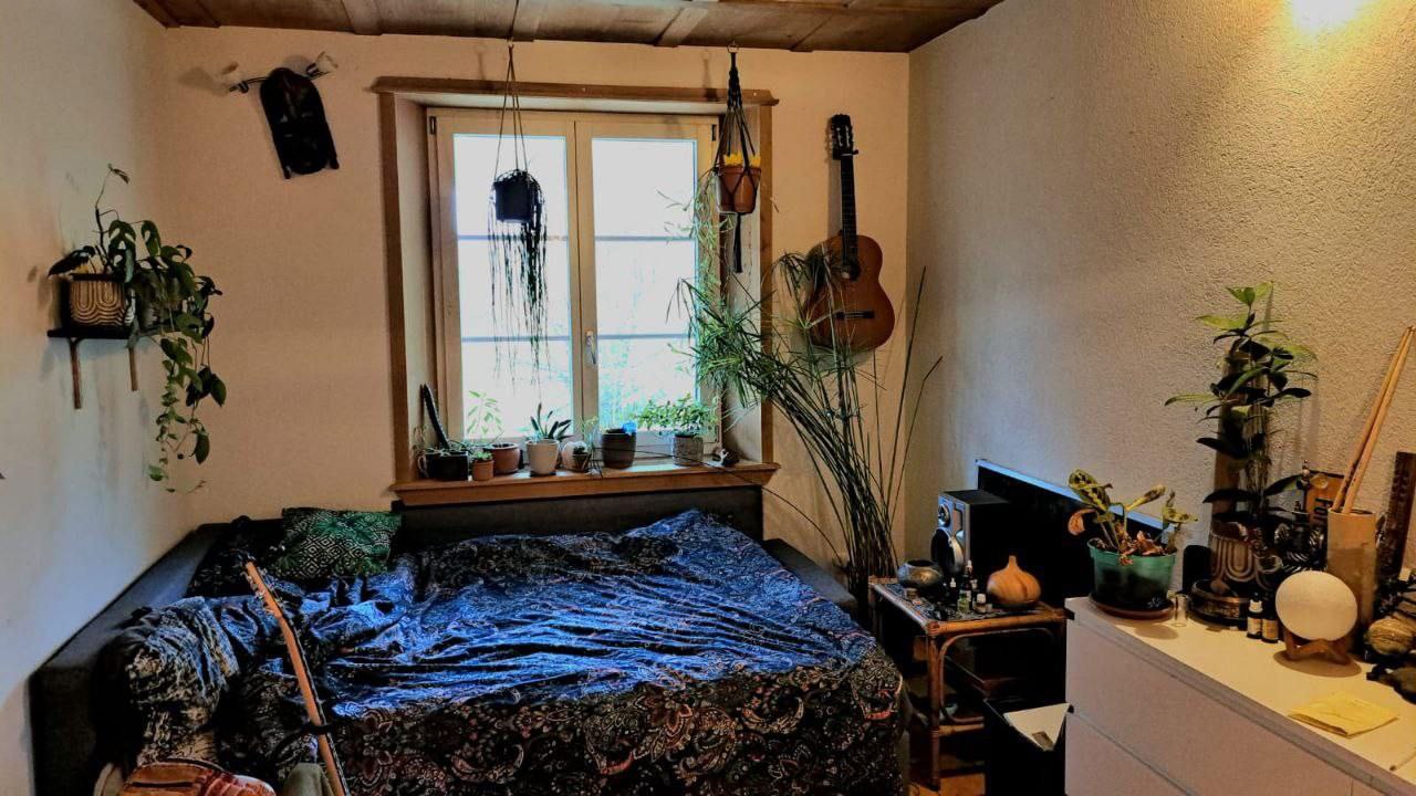 Chambre en colocation