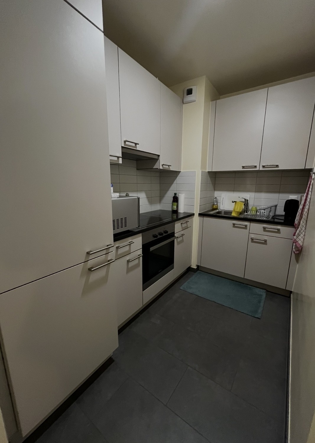 4 ½ rooms apartment, photo 2 sur 2