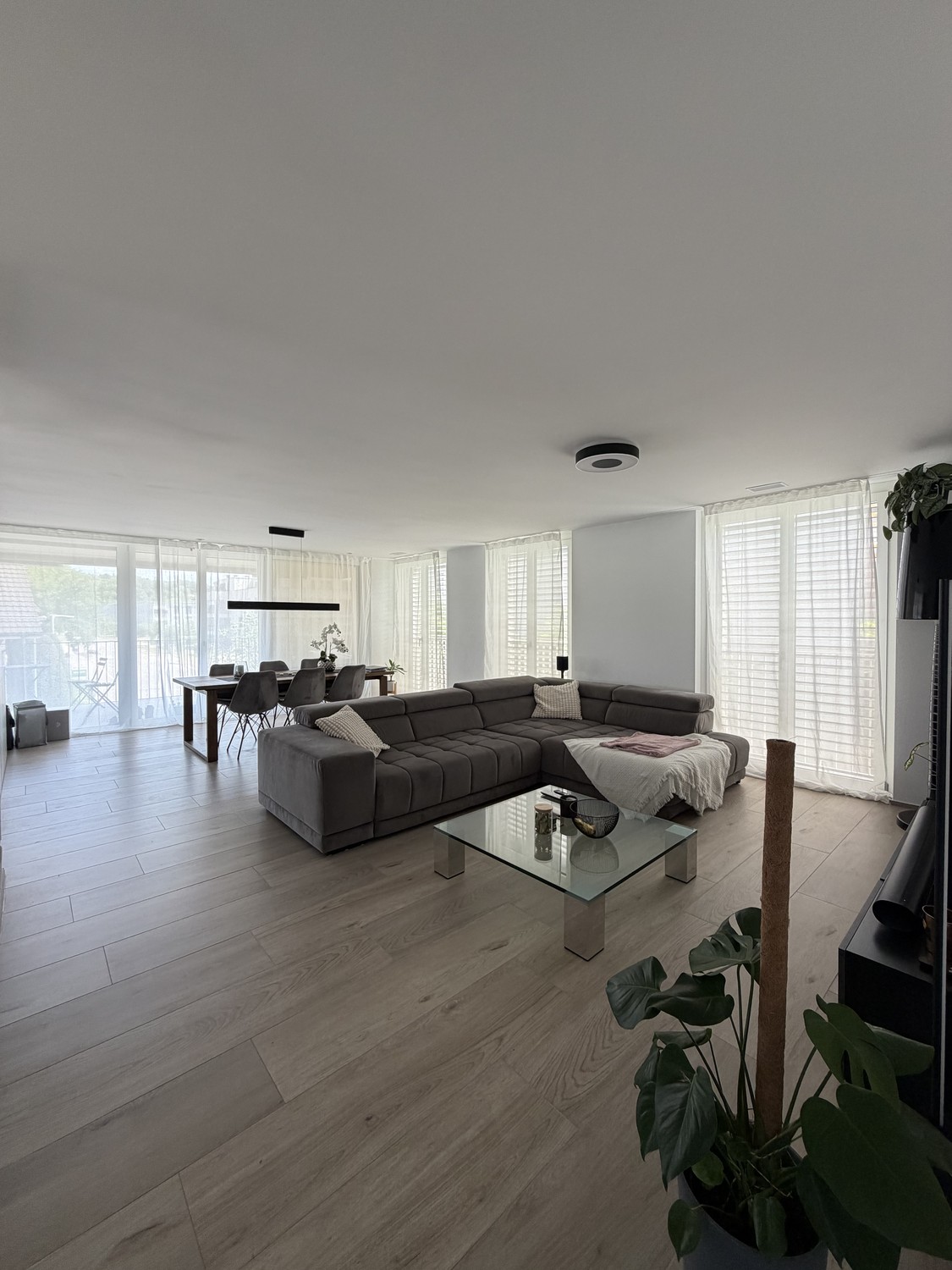 Appartement de 3 ½ pièces, photo 1 sur 8