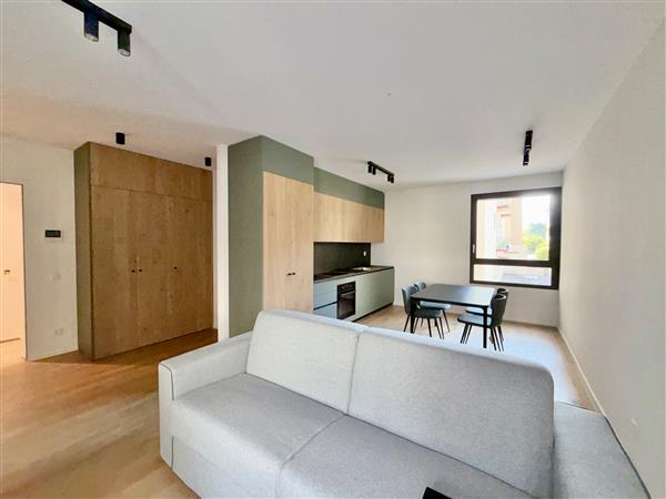 Appartement meublé de 1 ½ pièce, photo 3 sur 7