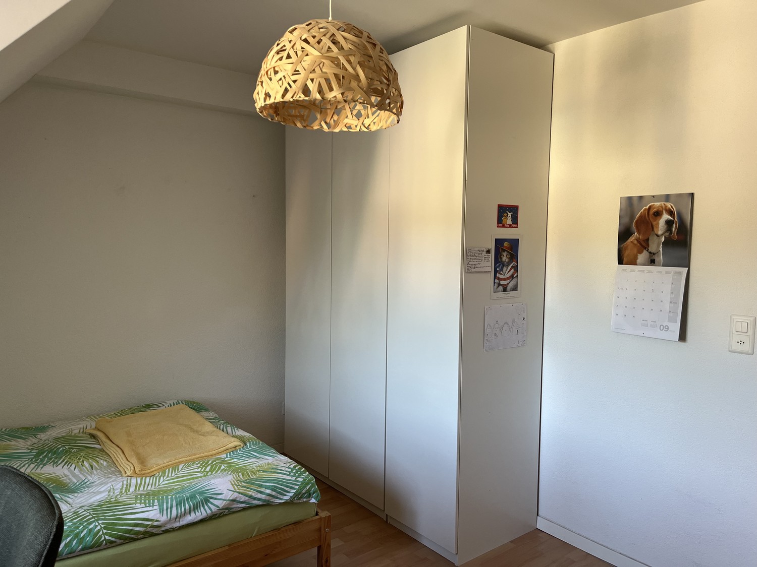 Chambre en colocation