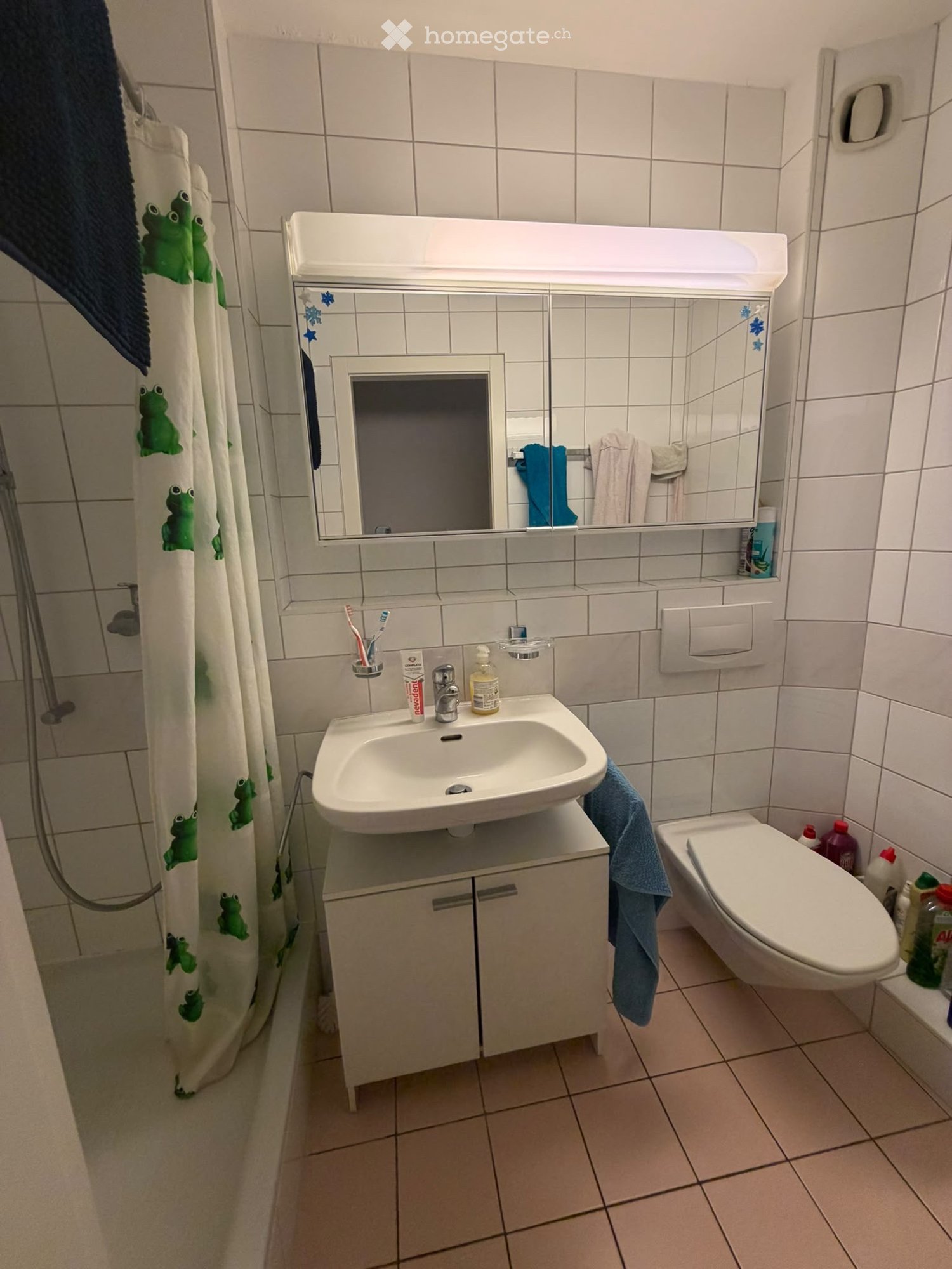 Appartement de 3 ½ pièces
