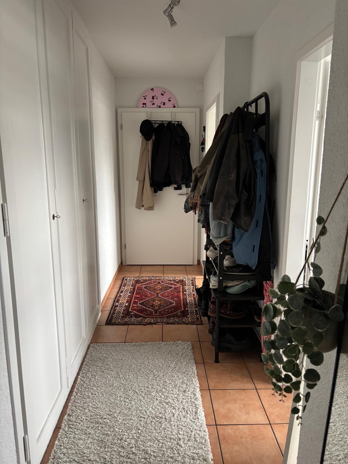 Appartement de 2 ½ pièces, photo 2 sur 10
