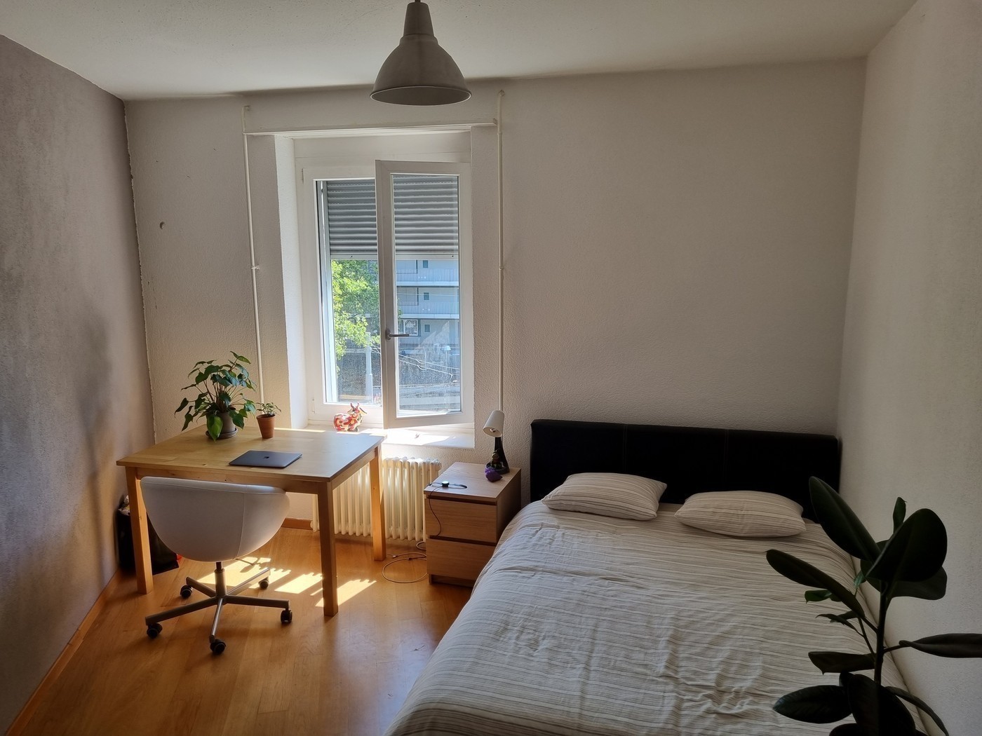 Chambre dans une colocation