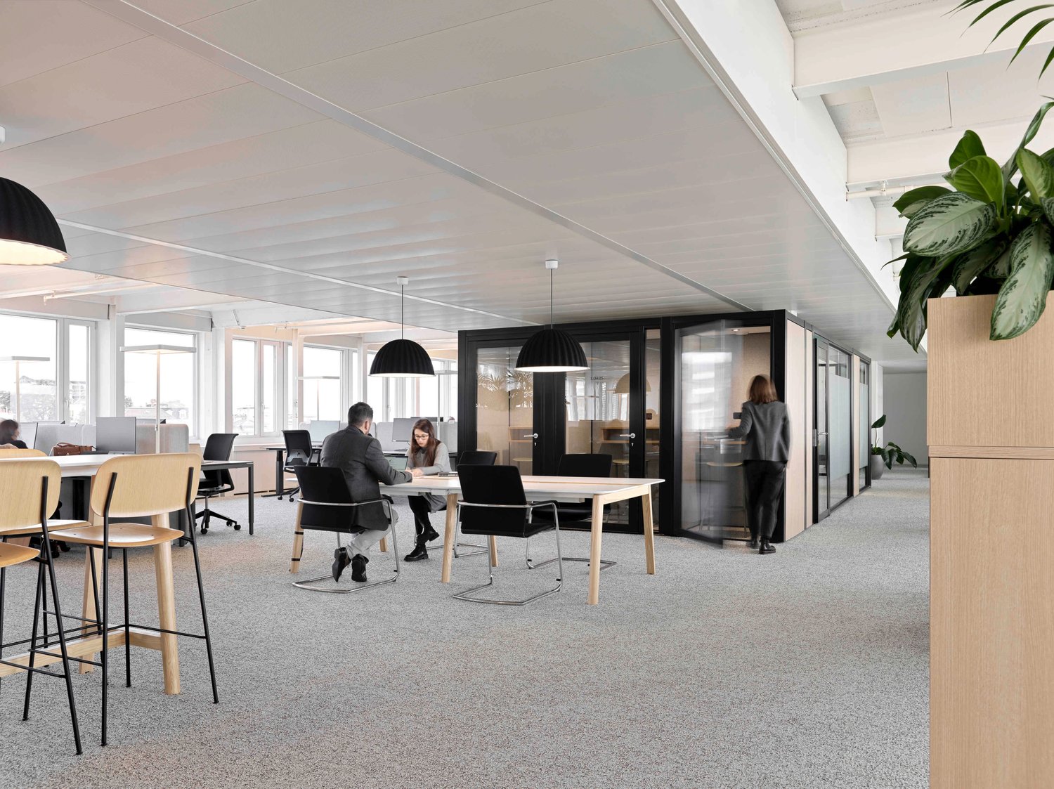 1294m² office