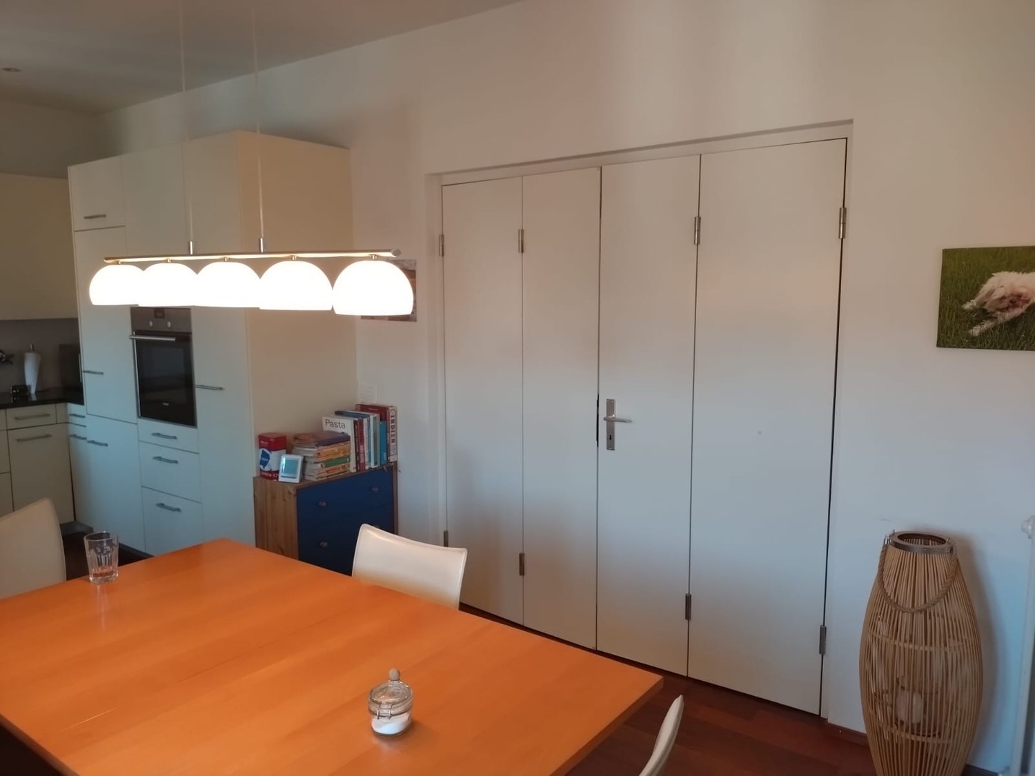 Appartement de 3 ½ pièces