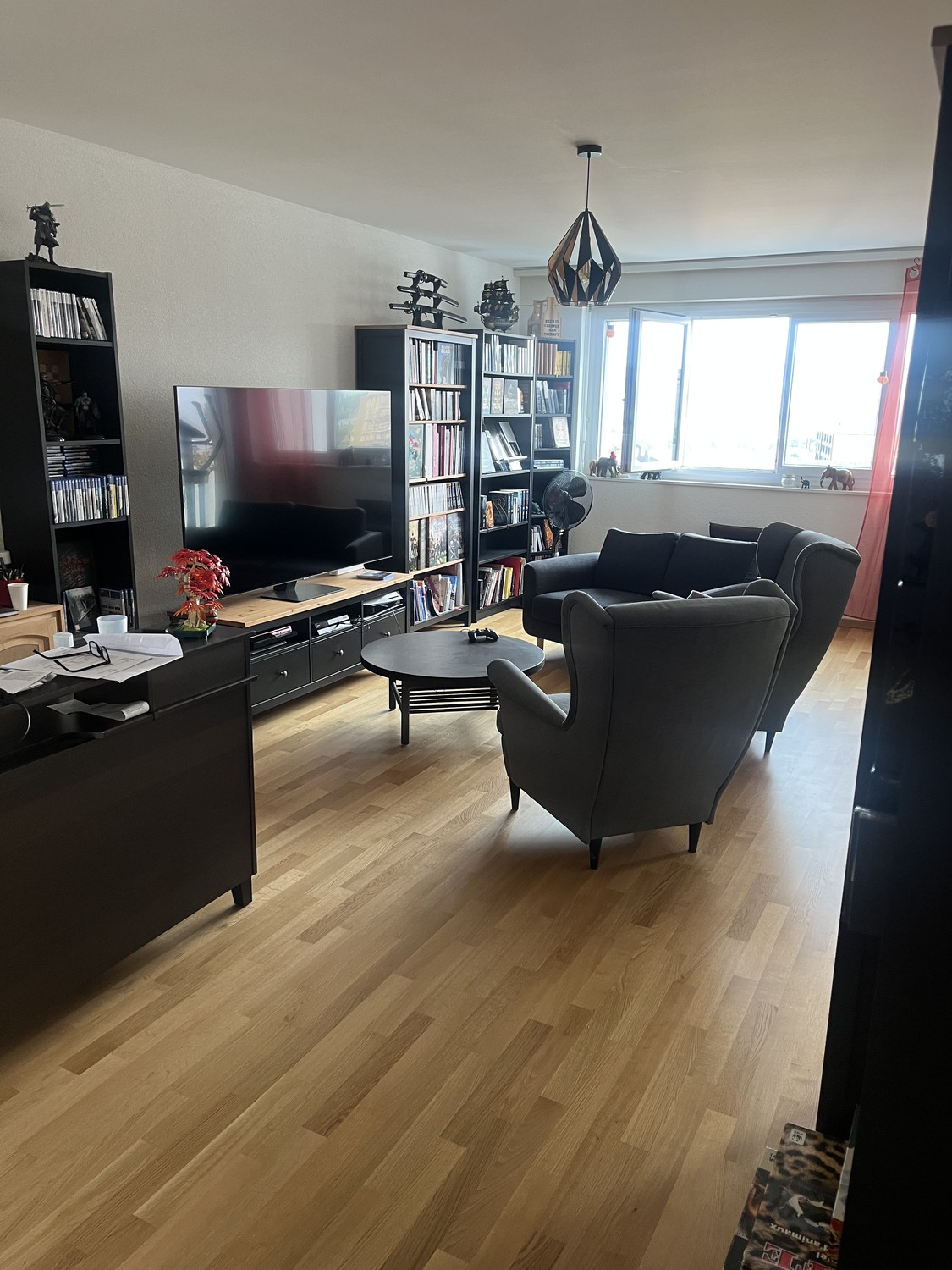 5 ½ rooms apartment, photo 3 sur 10