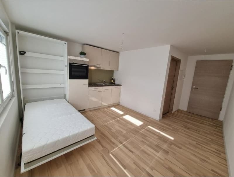 1 room apartment