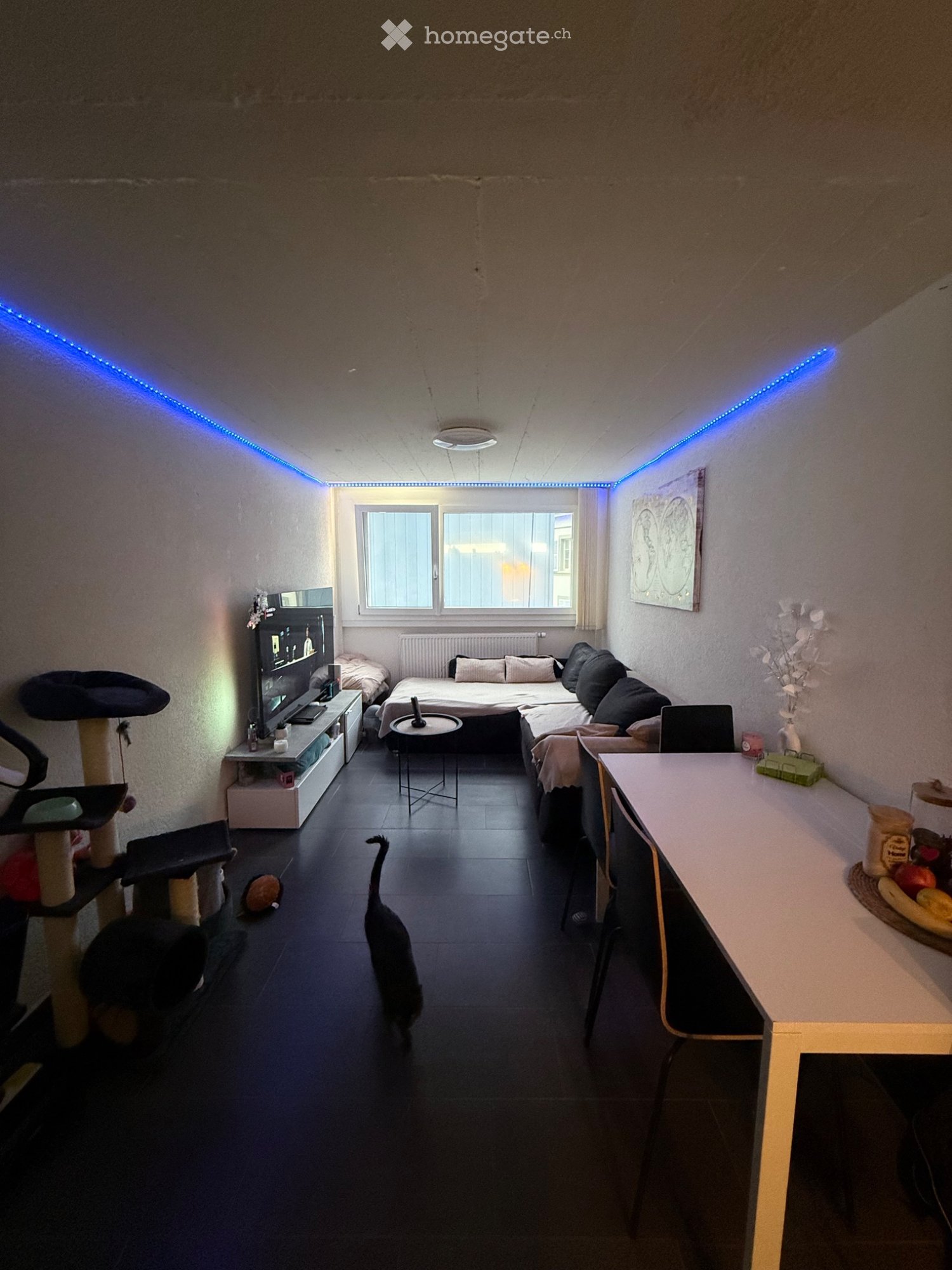2 rooms apartment, photo 1 sur 5