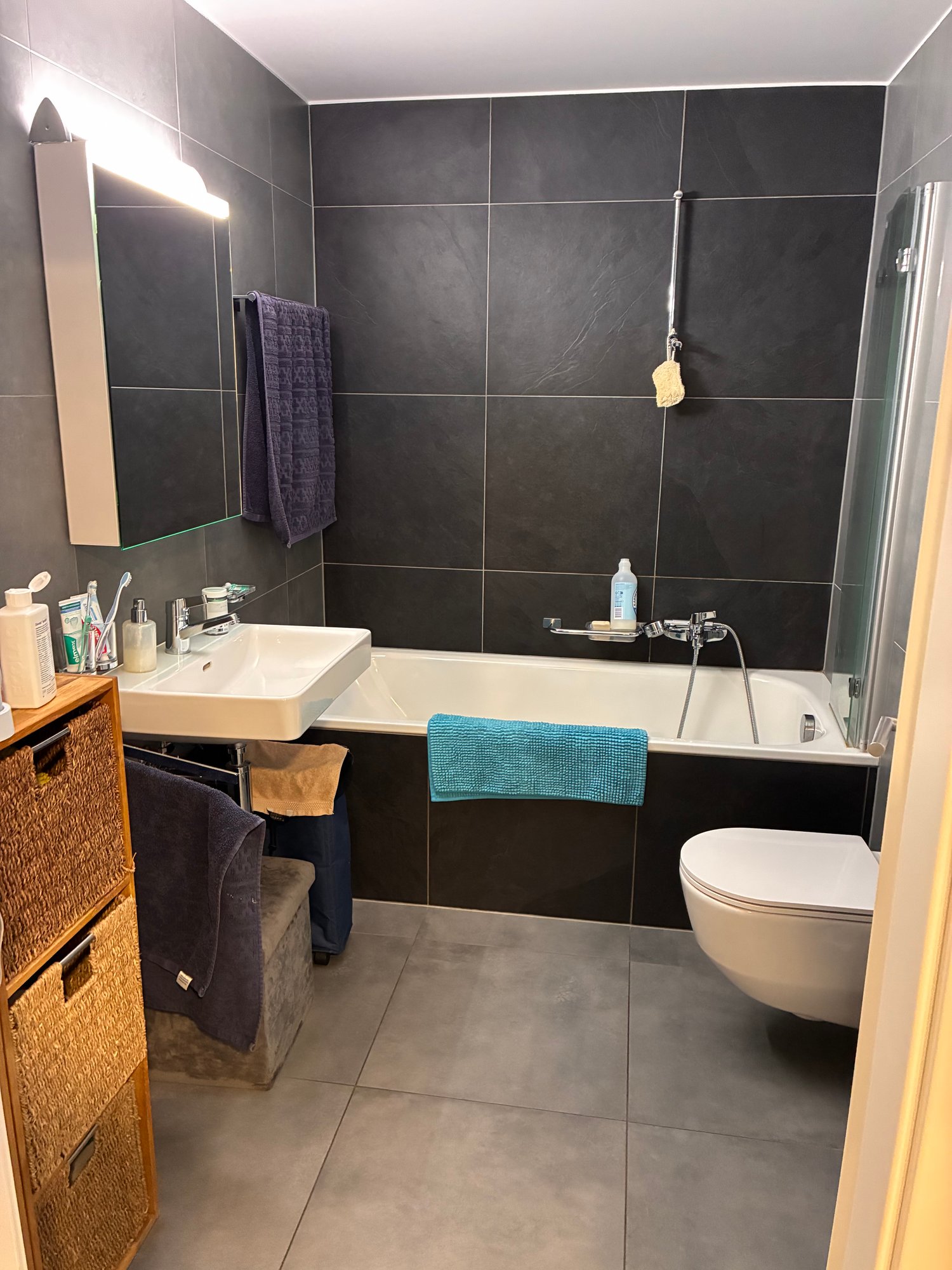 2 ½ rooms apartment