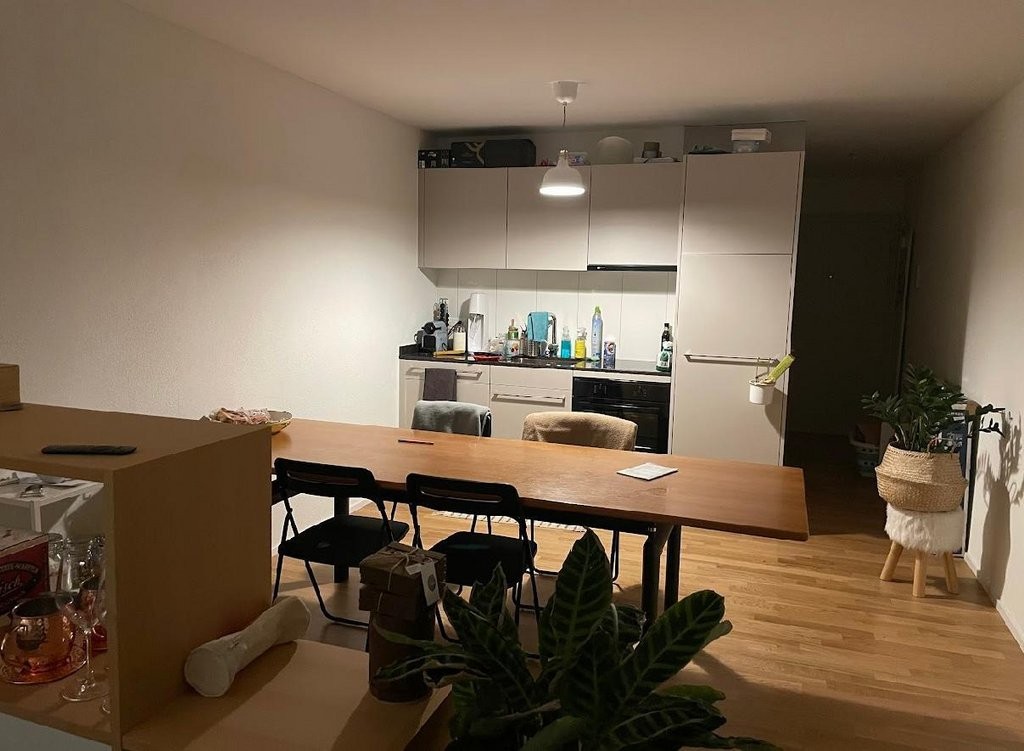 Appartement de 1 ½ pièces, photo 4 sur 4