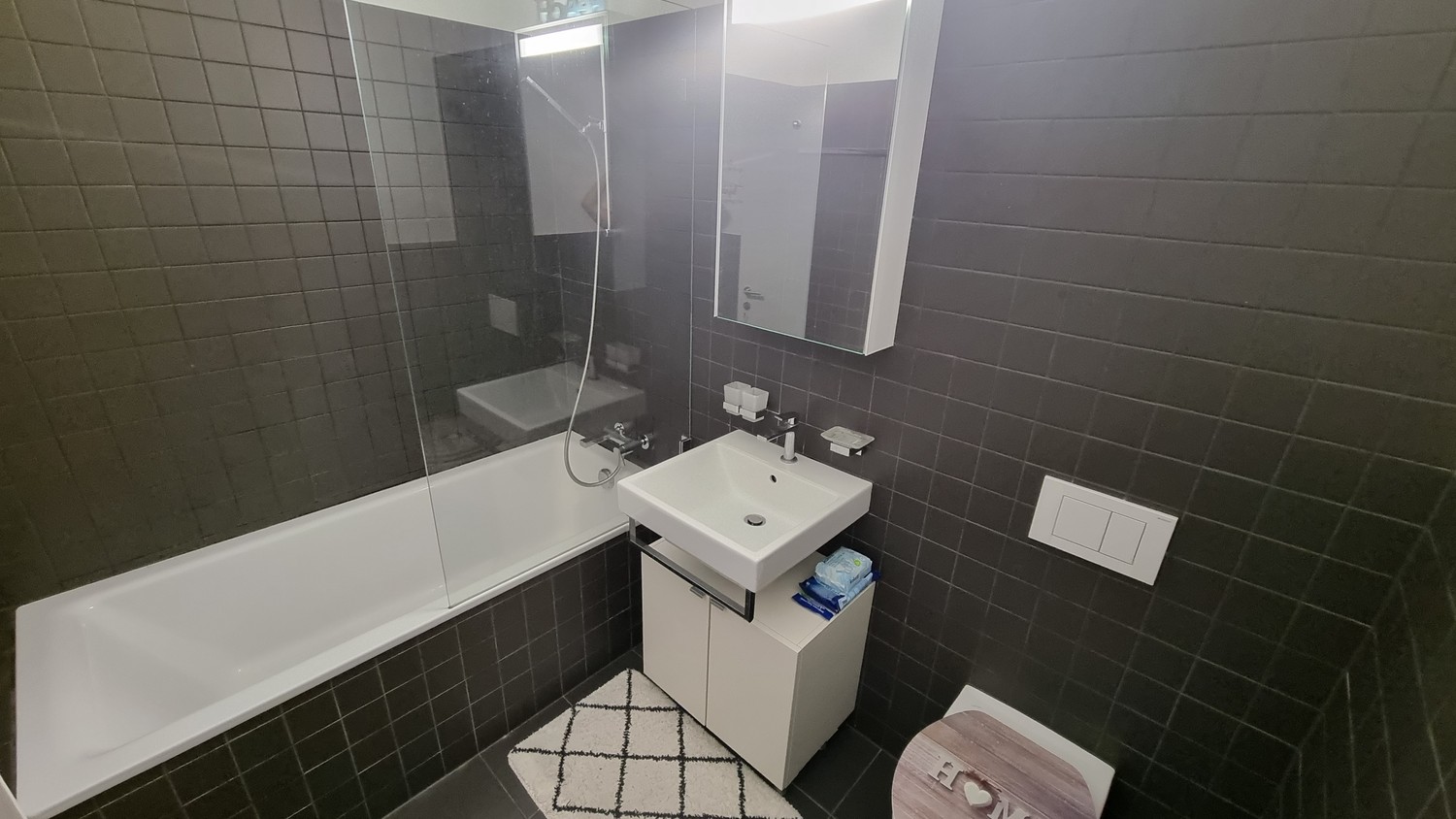 Appartement de 3 ½ pièces
