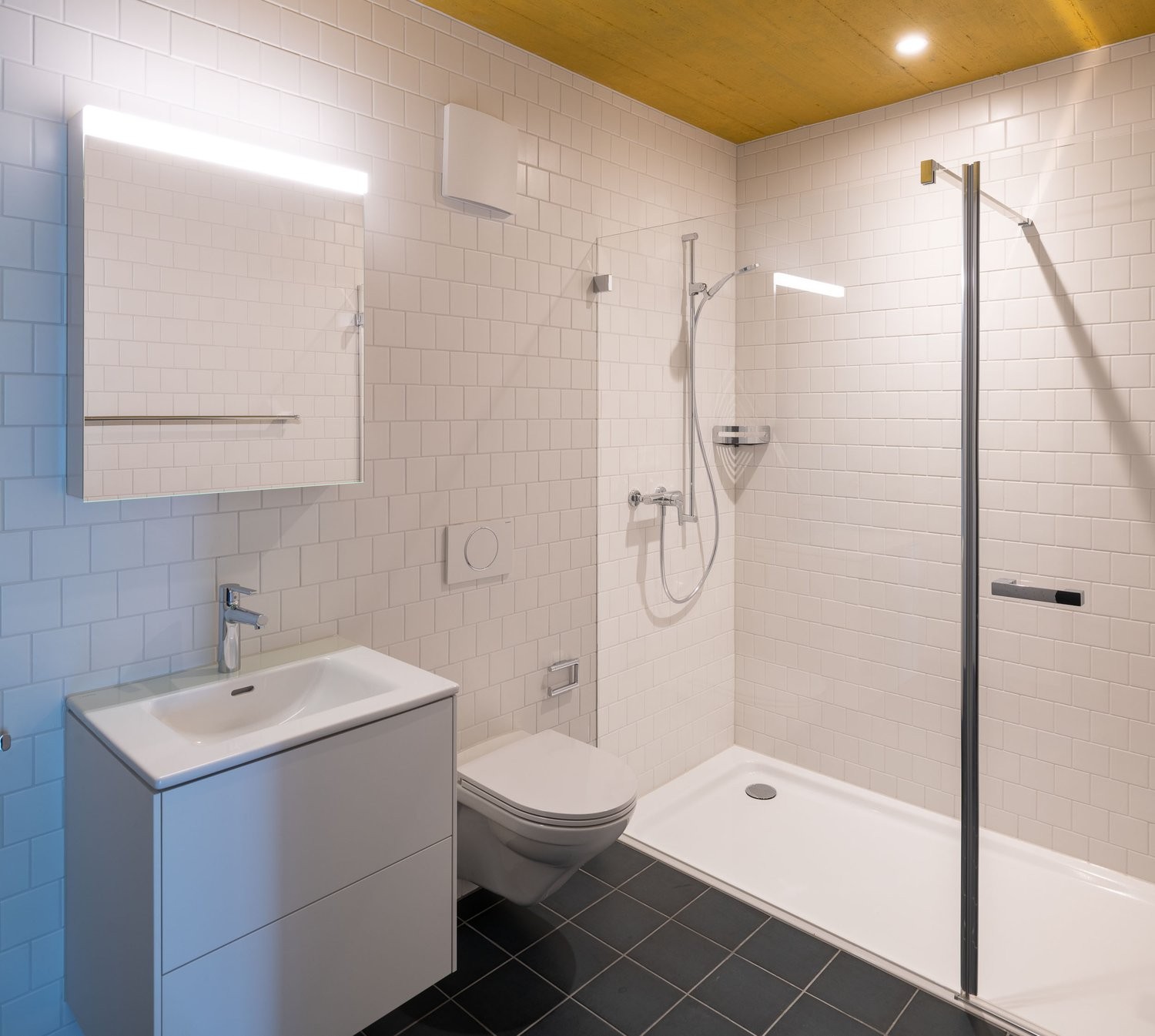 Appartement de 3 ½ pièces, photo 5 sur 5