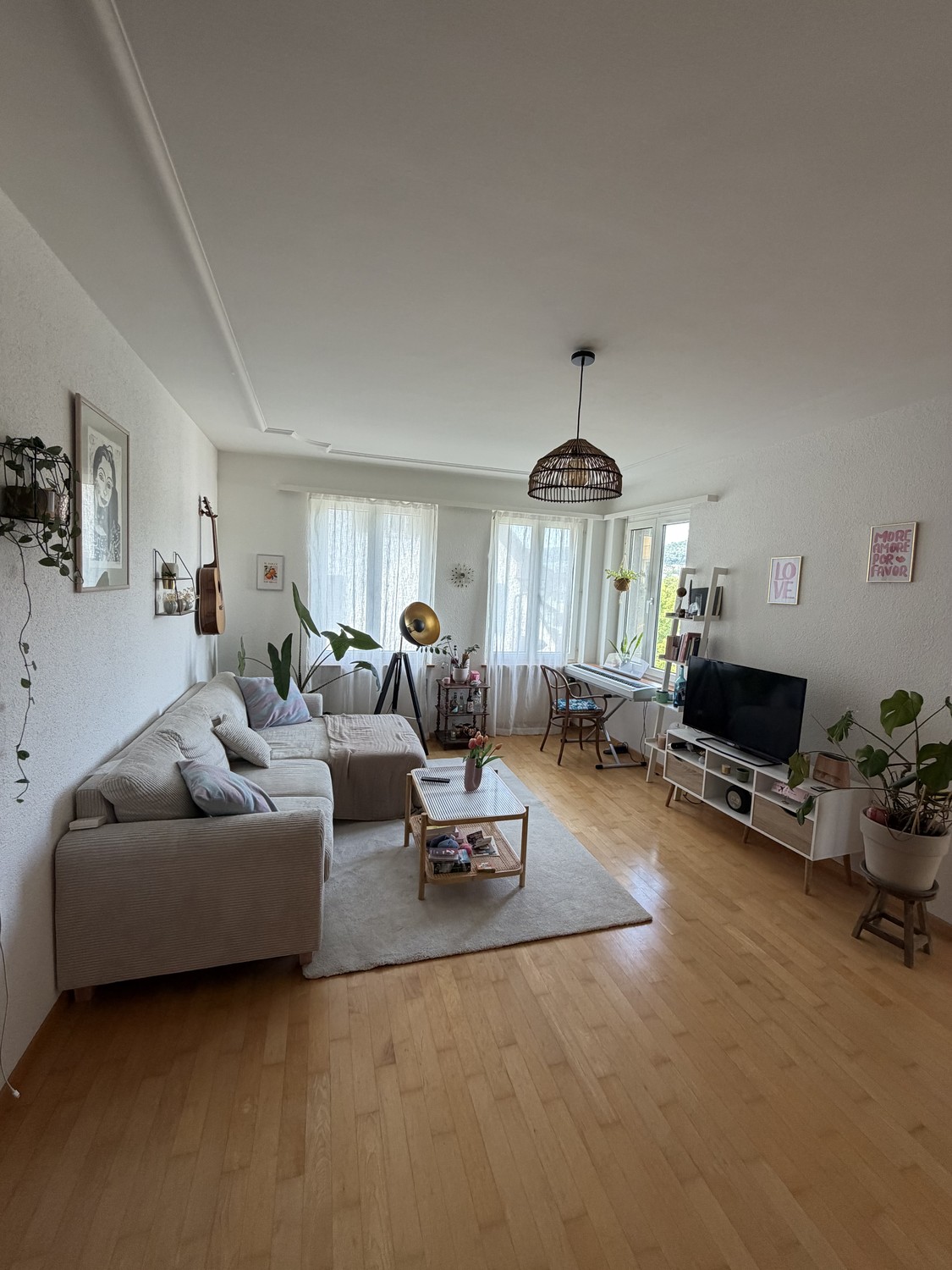 Appartement de 3 ½ pièces