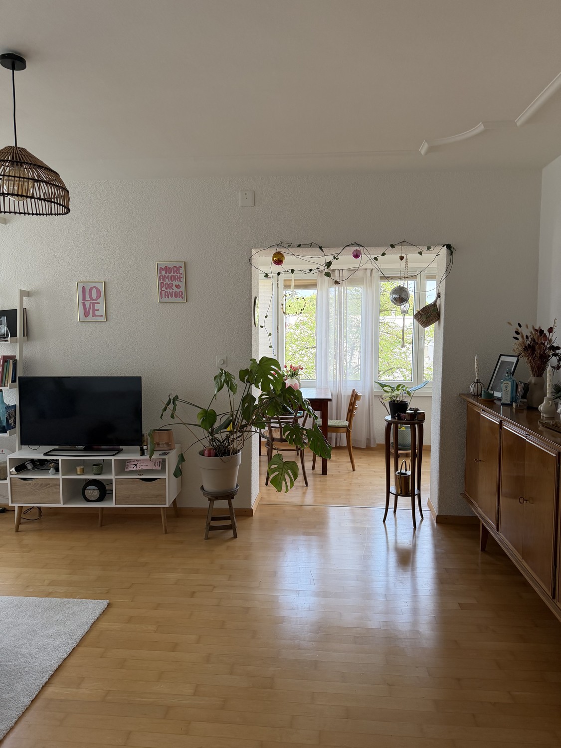 Appartement de 3 ½ pièces