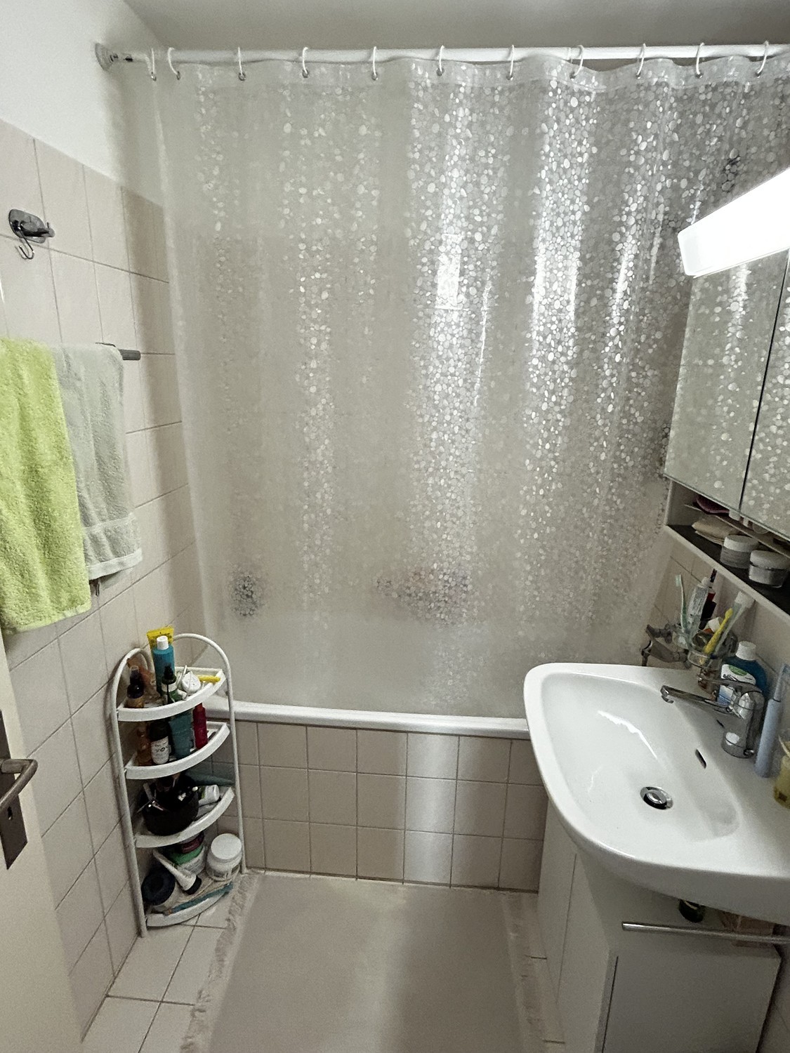Appartement de 3 ½ pièces
