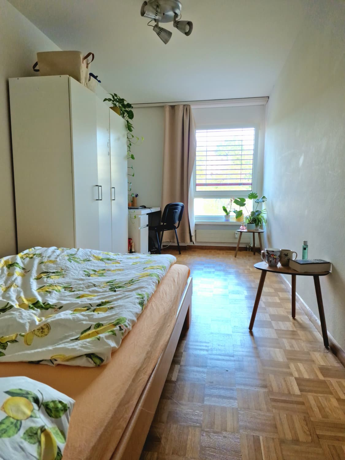 Chambre en colocation
