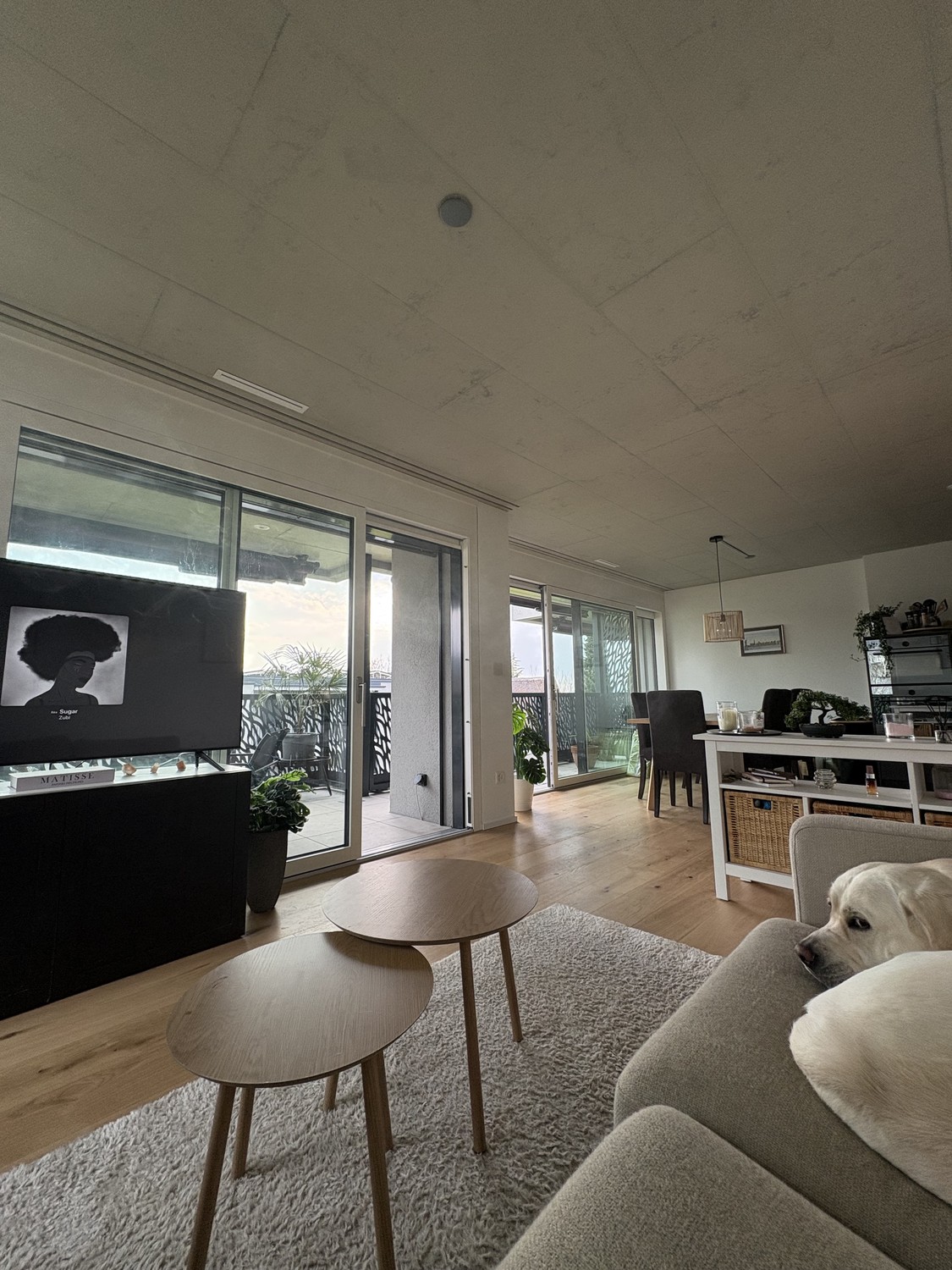 Appartement de 3 ½ pièces, photo 5 sur 9