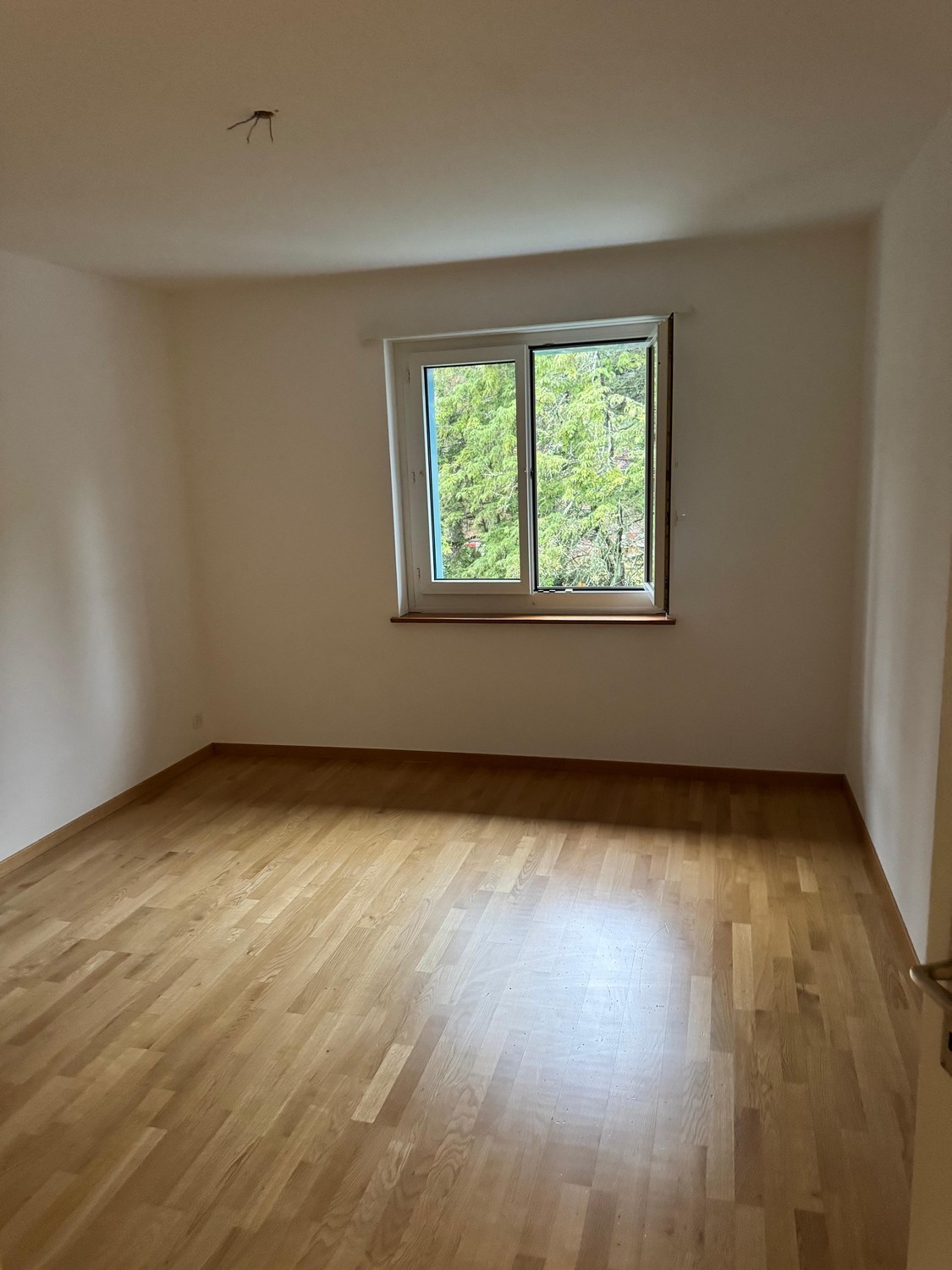 Chambre en colocation