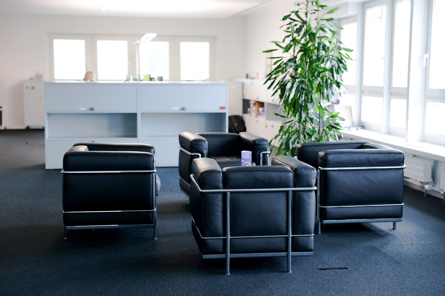 Bureau de 1586m²
