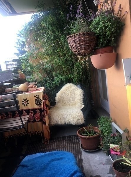 Appartement meublé de 2 ½ pièces