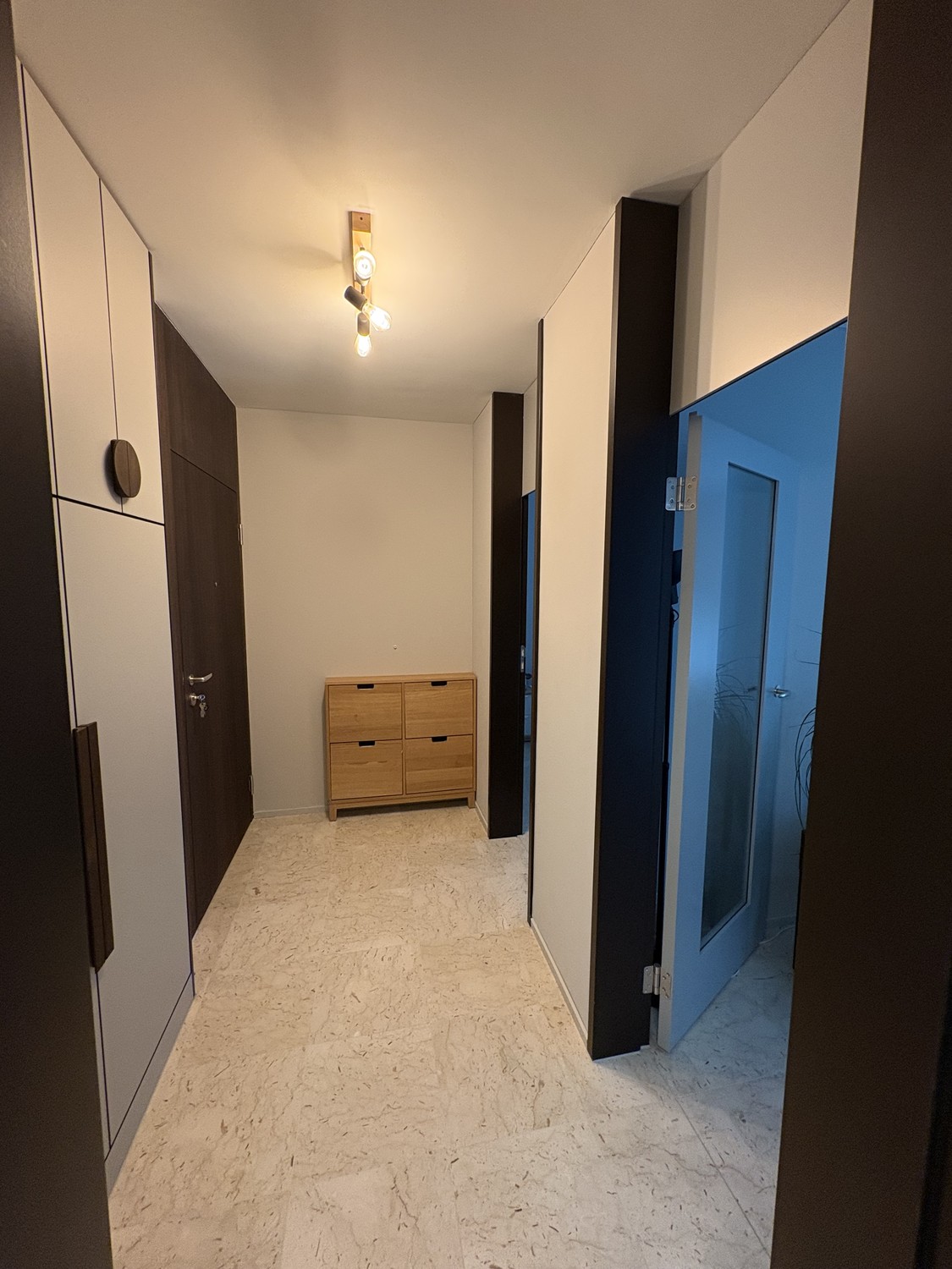 Appartement de 3 ½ pièces