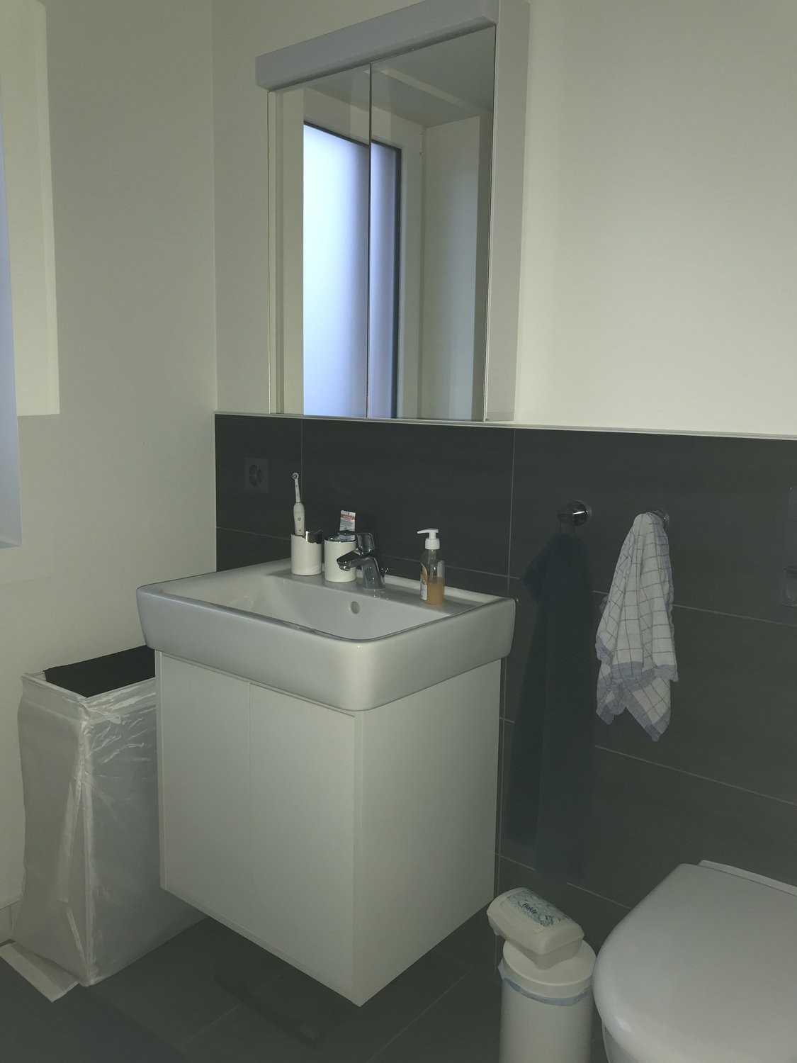 Appartement meublé de 3 ½ pièces